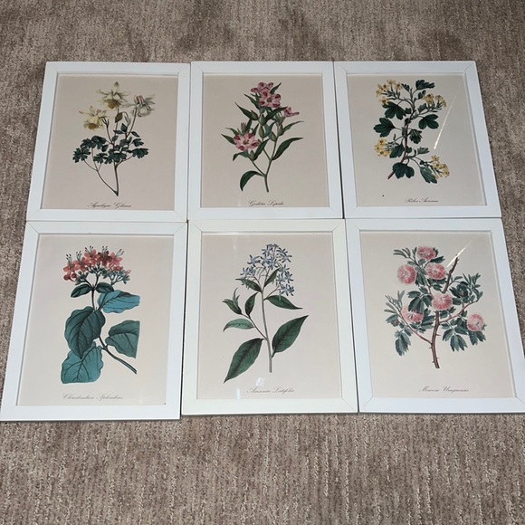 Pottery Barn Accents Pottery Barn Flower Pictures Framed 6 Pottery